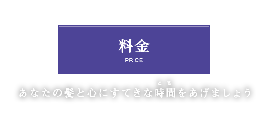 price_main_text