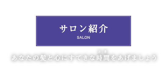 salon_main_text